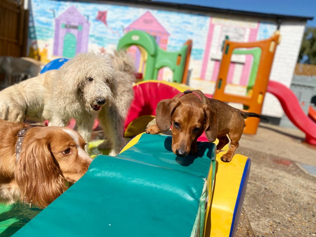 PHOTO-2020-09-14-15-07-17