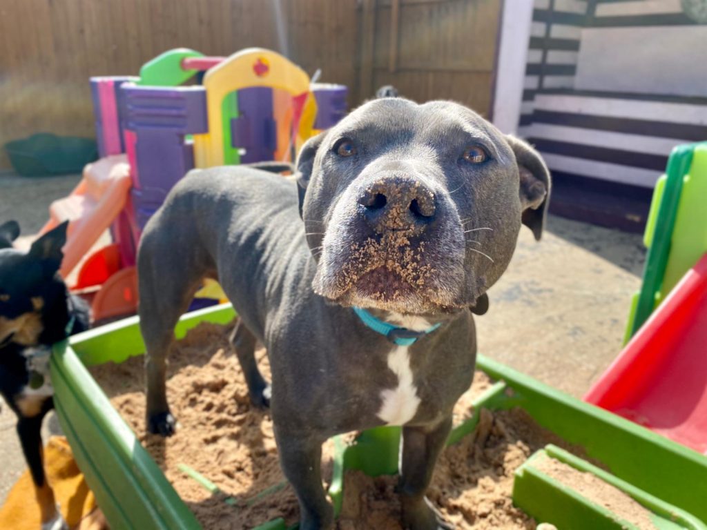 PHOTO-2020-09-17-15-36-54 - Copy