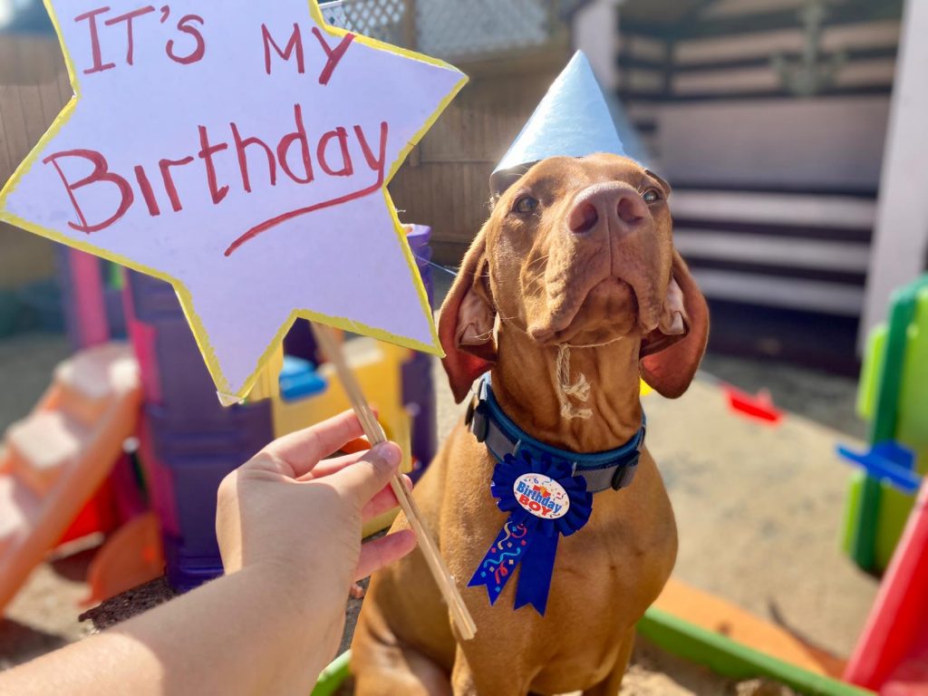 PHOTO-2020-09-17-15-37-05_1 - Copy