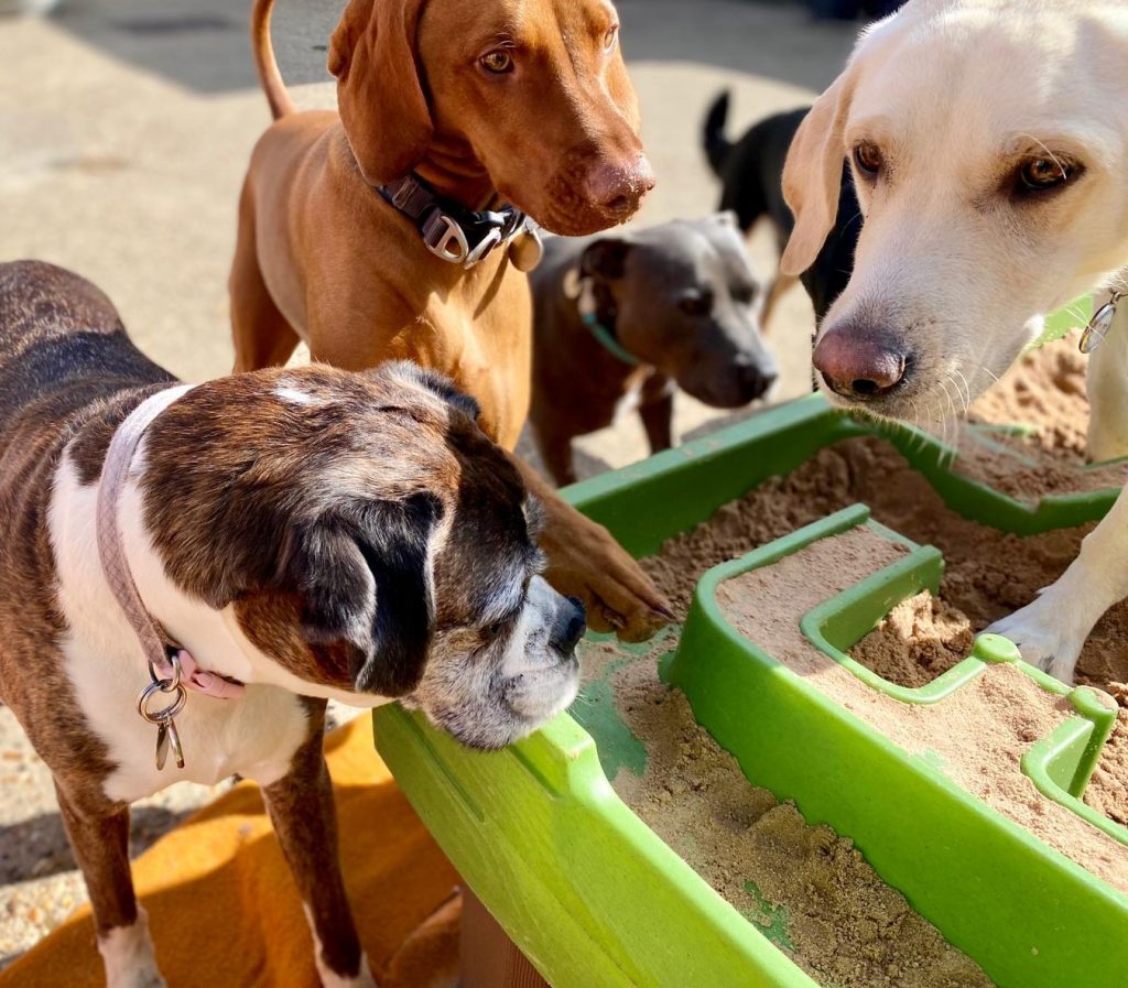 PHOTO-2020-09-17-15-37-56