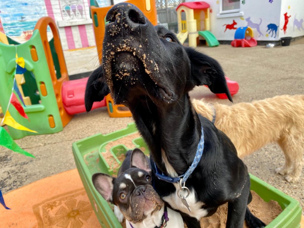 PHOTO-2020-09-17-15-40-00_2 - Copy