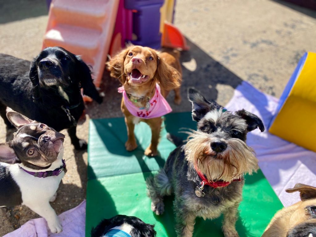 PHOTO-2020-09-24-15-52-20_1