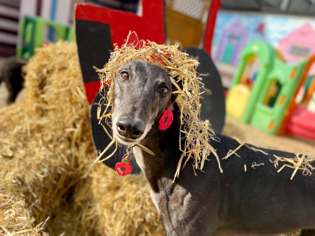 PHOTO-2020-09-28-16-25-14_1