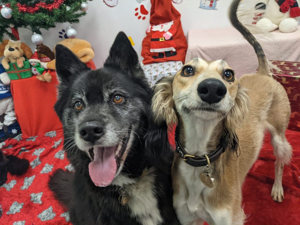 PXL_20201112_134950574