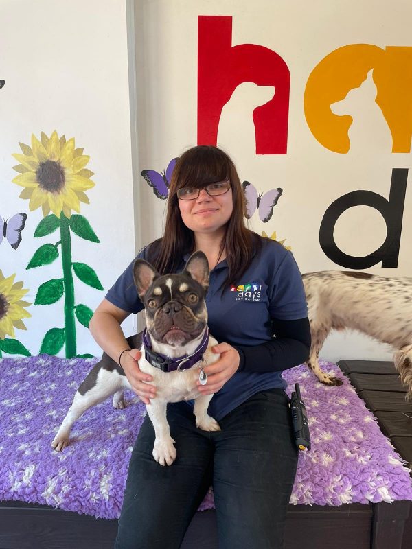 Abigail Wright - Happi Days Dog Day Care team