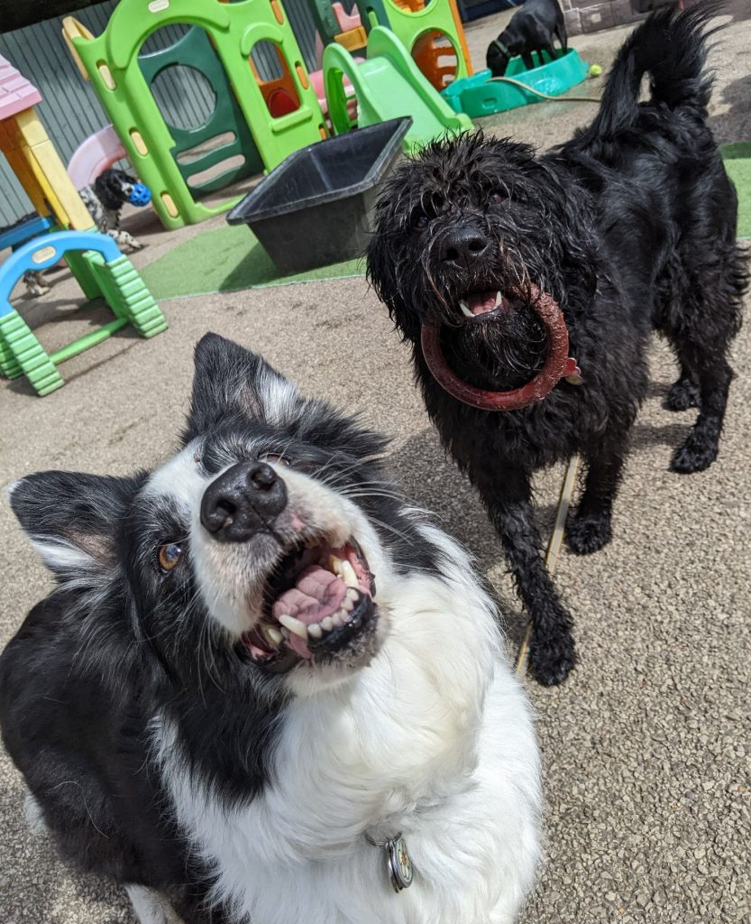 289385719_5313845998661188_7200476837519754419_n