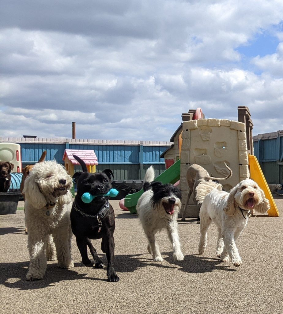 292437685_5355988677780253_9097980989446907524_n