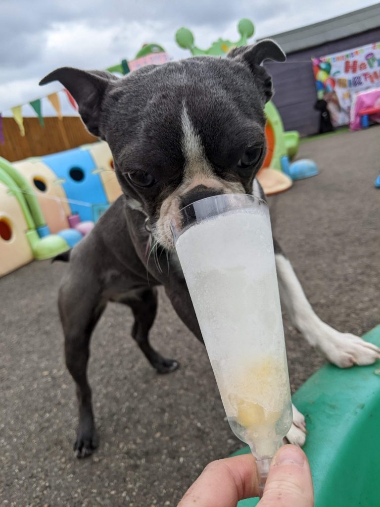 PXL_20220505_121525819