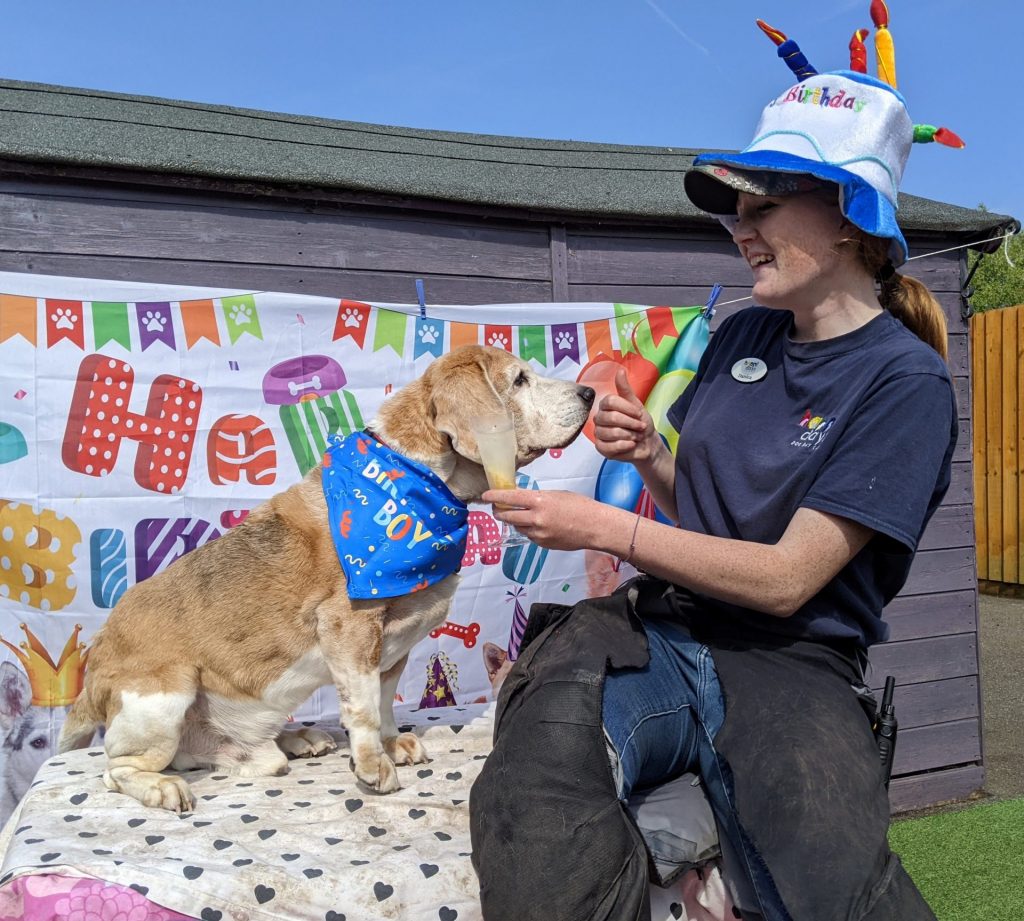 PXL_20220505_142018829