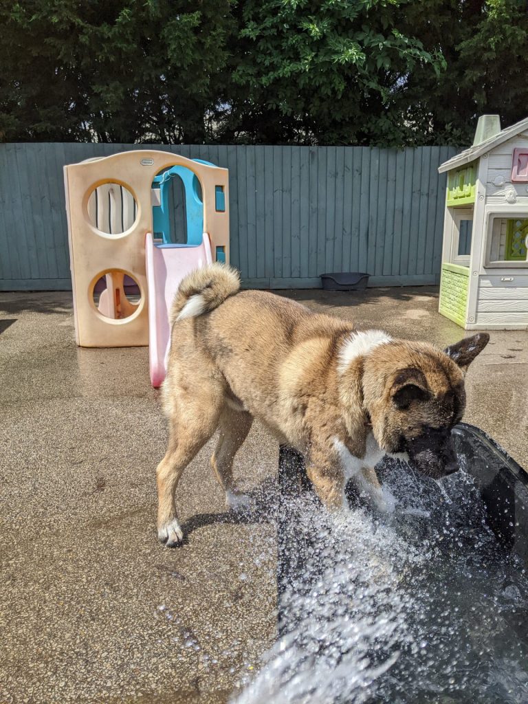 PXL_20220713_122925037