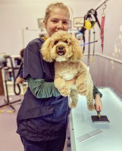 dog grooming in ipswich